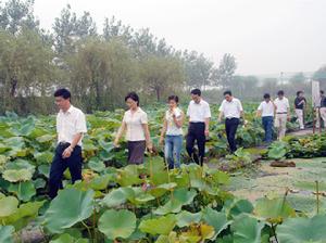 （圖）泗洪縣烈士陵園