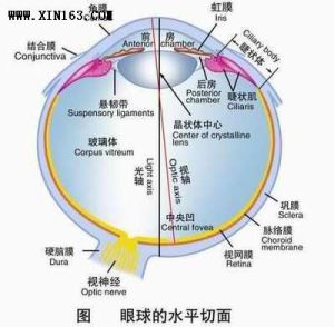 眼眶骨膜炎