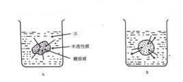 水合作用