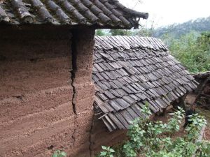 勐大鎮西山村民委員會 箐頭自然村