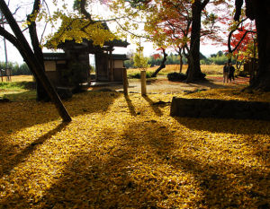 湯之花溫泉