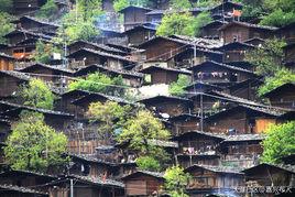 同樂村[廣西南寧市江南區沙井街道下轄村]