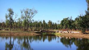 房山區長陽鎮萬畝濱河公園