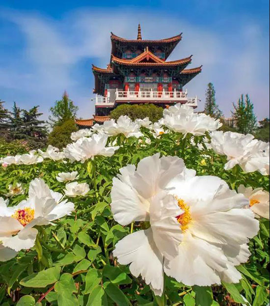 中國最美避暑地，自帶空調人少獨家，適合隱居兩三天！
