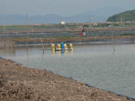 濱海村[浙江省寧海縣力洋鎮濱海村]