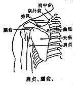 肩外俞