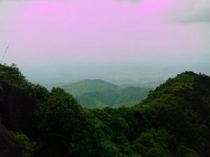 黃坑鎮[福建省南平市建陽區黃坑鎮]