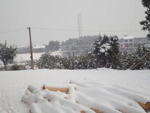 難忘故園雪