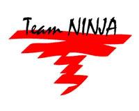 Team NINJA