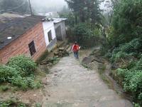 雷打樹村