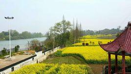 板橋村[江西省上饒市玉山縣文成鎮板橋村]