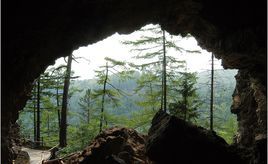 火山口森林公園