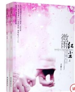 微雨紅塵(上下冊)