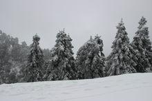 分水嶺雪景