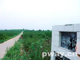 橋溝村[山東省泰安市岱嶽區下轄村]