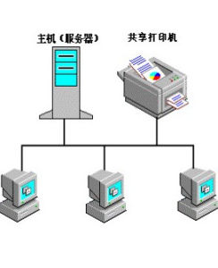 網路類型