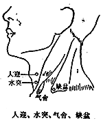 （圖）缺盆