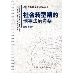 社會轉型期的刑事法治考察