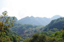 中華山國家森林公園