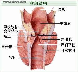 喉部麻風