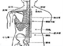 脊突叩痛