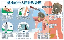 蜱蟲的個人防護和處理