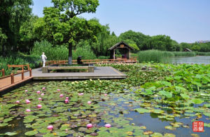 上海體育公園