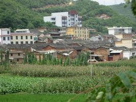 里山村[雲南省玉溪市通海縣裡山鄉下轄村]