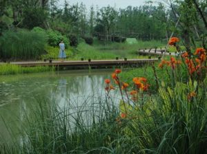 丁塘河濕地公園