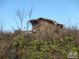 民建彝族鄉