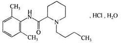 鹽酸布比卡因注射液