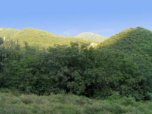 雪山鎮