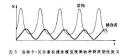 種群動態P