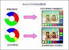 五節點黃金比例色輪