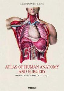 ATLAS OF ANATOMY 解剖圖譜