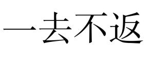 一去不返[詞語]