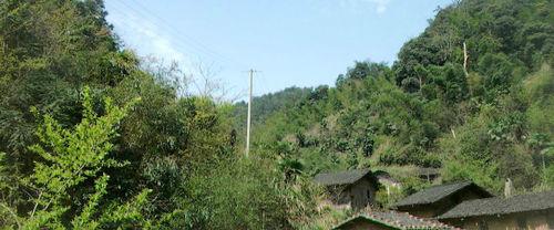 發源地福建省寧化縣治平鄉賴家山