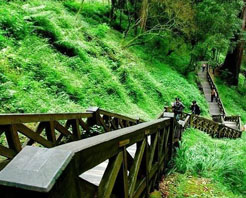 高山植物園與博物館