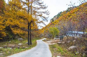 河北白草窪國家森林公園