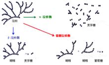 澱粉酶解