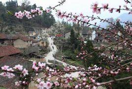 梅山村[江蘇省南京市溧水縣柘塘鎮梅山村]