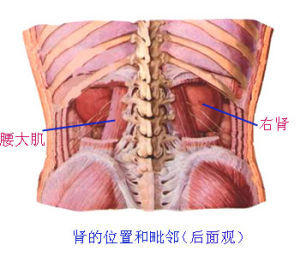 鏈球菌感染