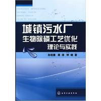 城鎮污水廠生物除磷工藝最佳化理論與實踐