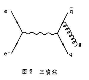 膠子