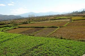 田園風光