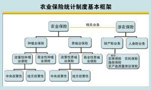 農業保險統計指標