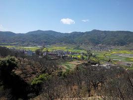 中村鄉[雲南祿豐縣轄鄉]