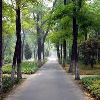 富恆農業觀光園