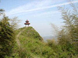 太華鎮[福建大田縣太華鎮]