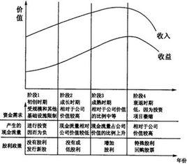 股利理論